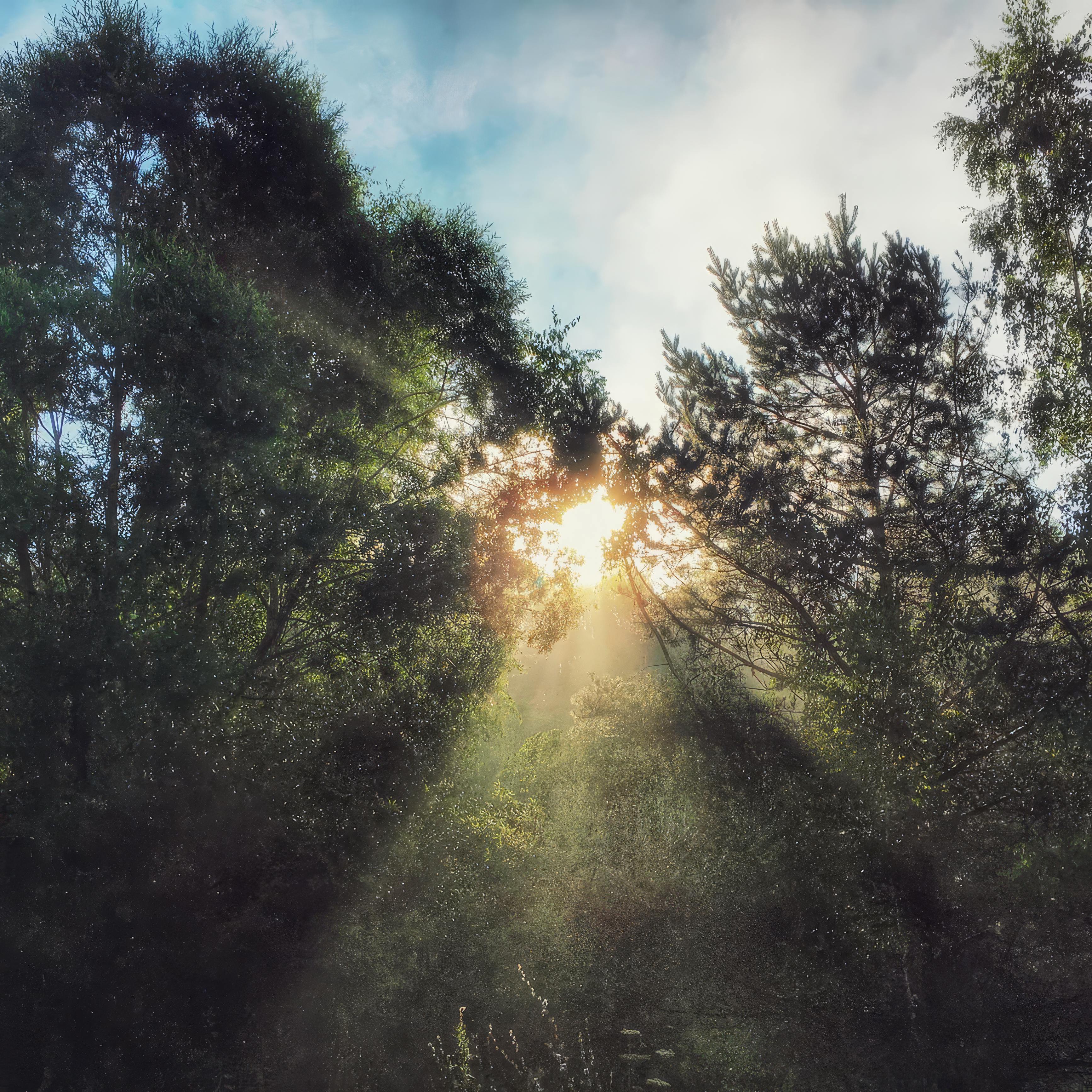 Spring Equinox Potluck